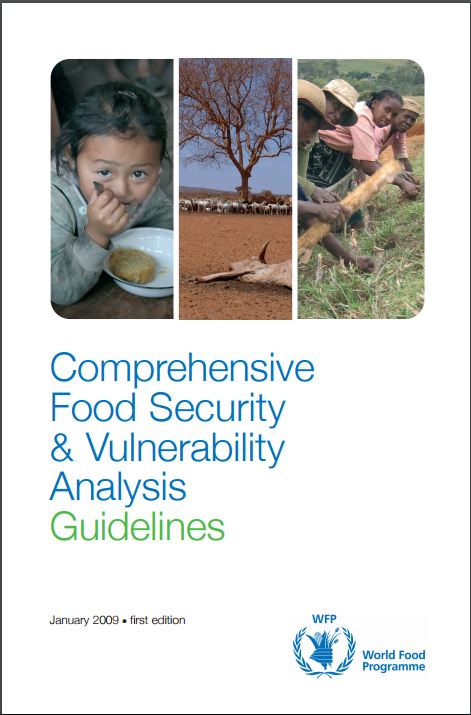 comprehensive food sceurity